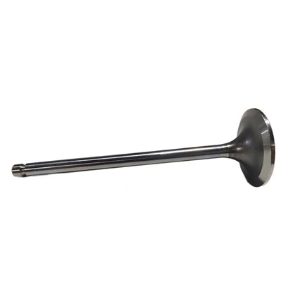 OEM Cummins Valv Konsomasyon 5557883 Brand New
